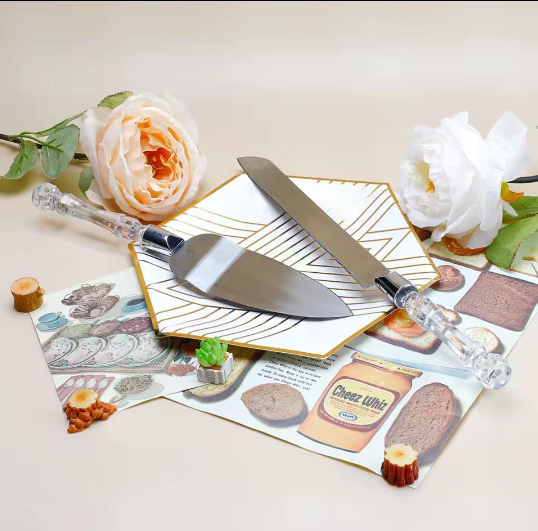 Stainless Steel Cake Cutter and Pie Spatula Set