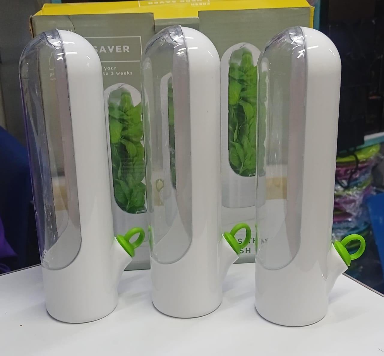 Fresh Herb Saver Fridge Storage Container – Keeps Herbs Fresh Up to 3 Weeks | 24.5cm | White & Green