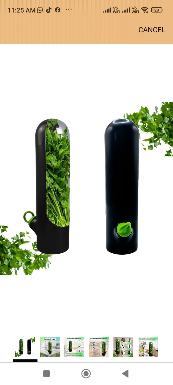 Fresh Herb Saver Fridge Storage Container – Keeps Herbs Fresh Up to 3 Weeks | 24.5cm | White & Green