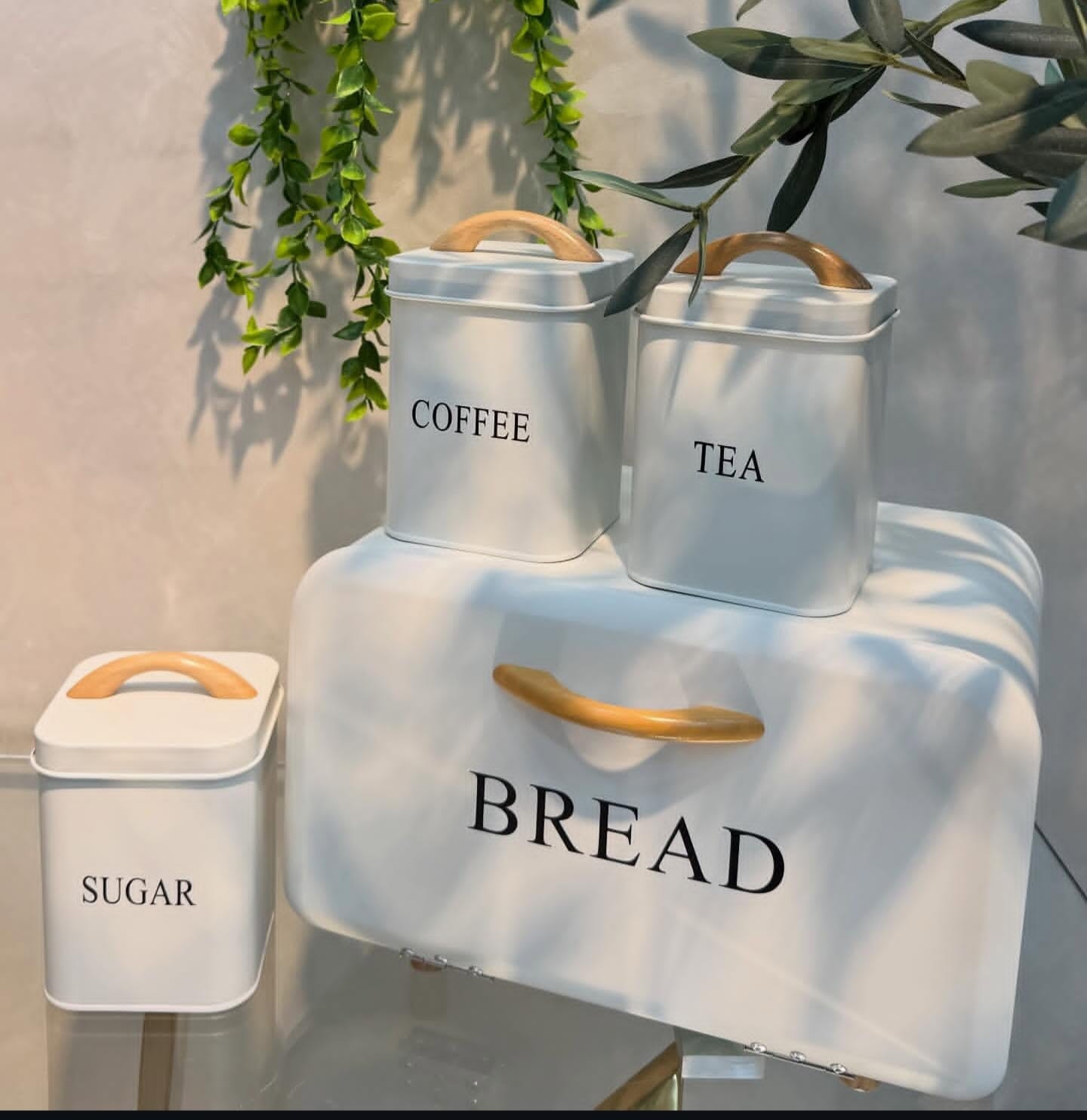 4pc White Metal Bread Bin and Canister Set with wood handles - lifestyle display with plants