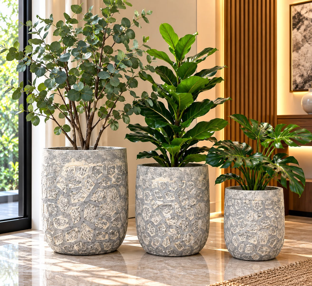 Luxury Concrete Planters