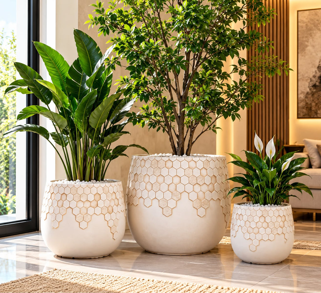 Luxury Concrete Planters