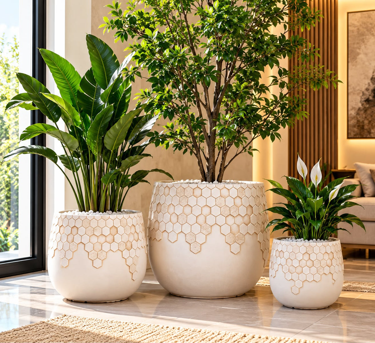 Luxury Concrete Planters