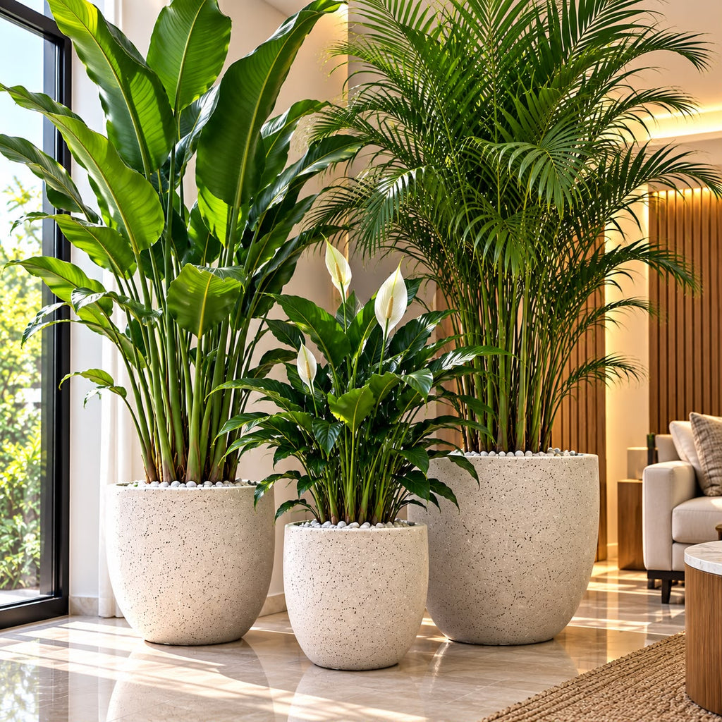 Three light-coloured speckled concrete planters displaying green plants indoors.