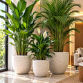 Three light-coloured speckled concrete planters displaying green plants indoors.